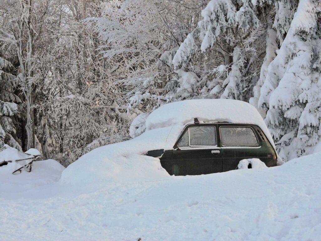 Niva pod sněhem